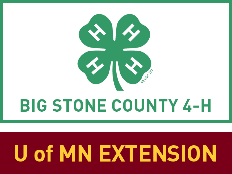 Logo for 2026 Big Stone County Fair